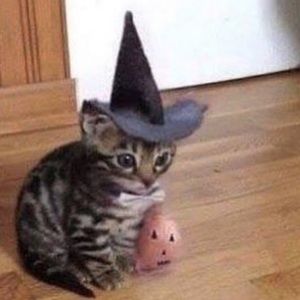 Meet your Posher, Scarlet